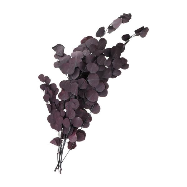 

dried eucalyptus flowers real dried flowers eucalyptus flower bouquet