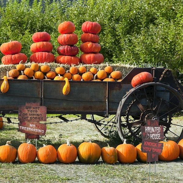 

greeting cards 3pcs creative yard stakes outdoor lawn decorations party props