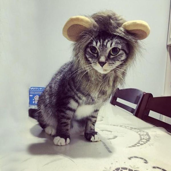 Собака одежда Pet Dogs Cap Cat Cosplay Lion парик Партия подарок головные уборы щенок шляпа новогодняя голова крышка аксессуары