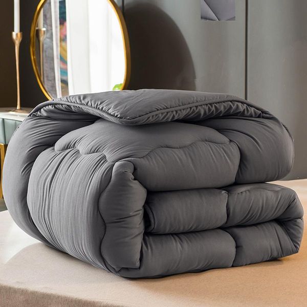 

comforters & sets el home classic down quilt four seasons duvets insert twin king size quilts luxury comforter core feather blanket