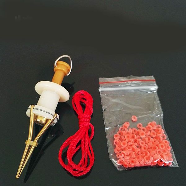 

fishing accessories earthworm bloodworm clip bait tackle tools baits box