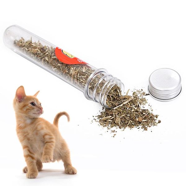 

cat toys 1 bottle natural catnip teeth cleaning treat kitten supply pet oral supplies drop