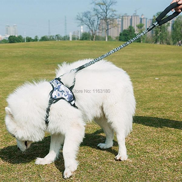 

dog collars & leashes 40 pcs/lot large leash nylon rope pet running tracking long lead mountain climbing for medium big