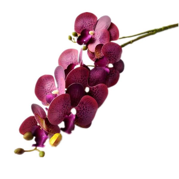 

decorative flowers & wreaths one artificial latex butterfly orchid 8 heads real touch phalaenopsis for floral decoration