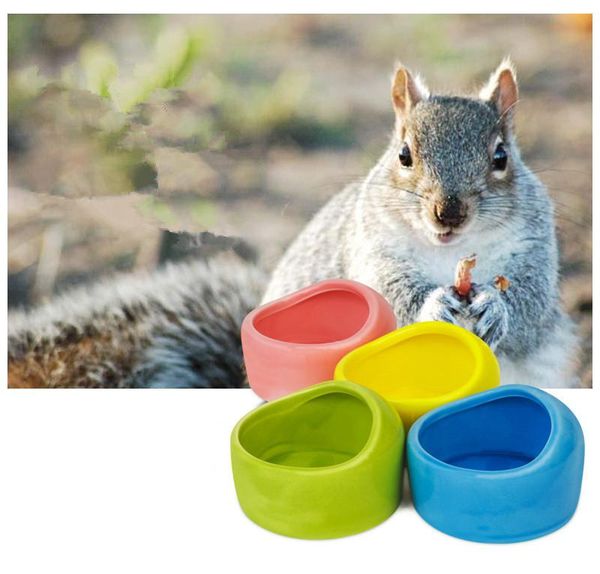 

bowls 1pc lovely hamster ceramic water snack feeder for little pets squirrel guinea pig chinchilla ferret bowl ok 0842