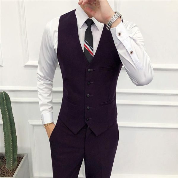 

men's vests ( vest + pants ) business professional tooling groom wedding dress host suit and solid color, Black;white