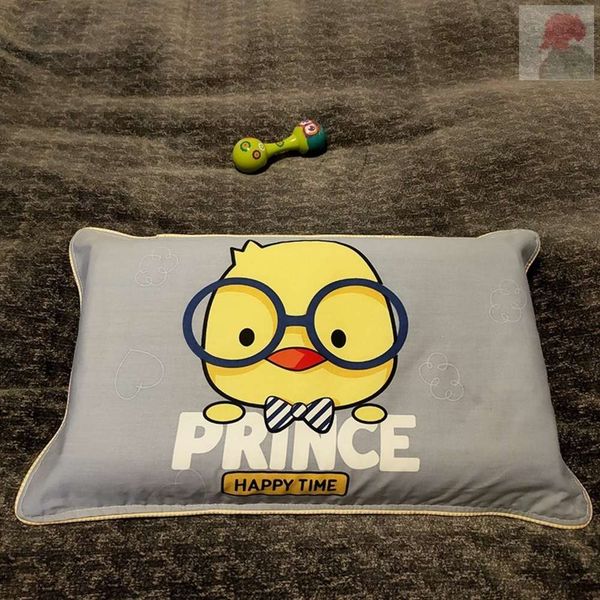 

cases one pair x late pillow case silk mat single memory