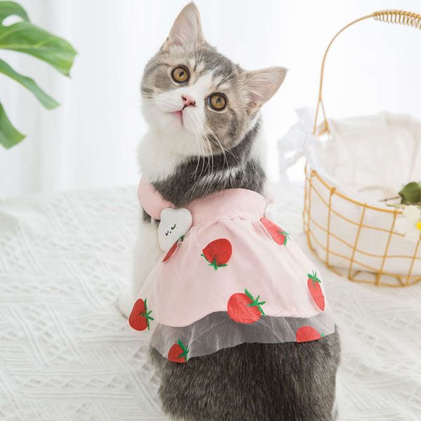 

year's dog dress teddy cat pet clothes summer french fight small puppy bear