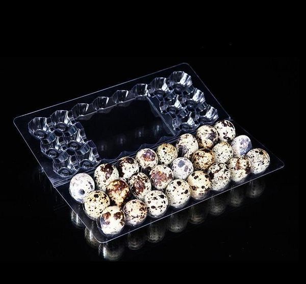 

24 holes quail egg containers plastic egg boxes 1000pcs/lot