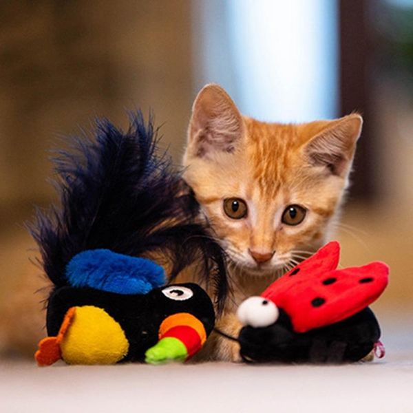 

cat toys pet toy interactive training plush stuffed chewing funny sounds squeaking supplies accessories
