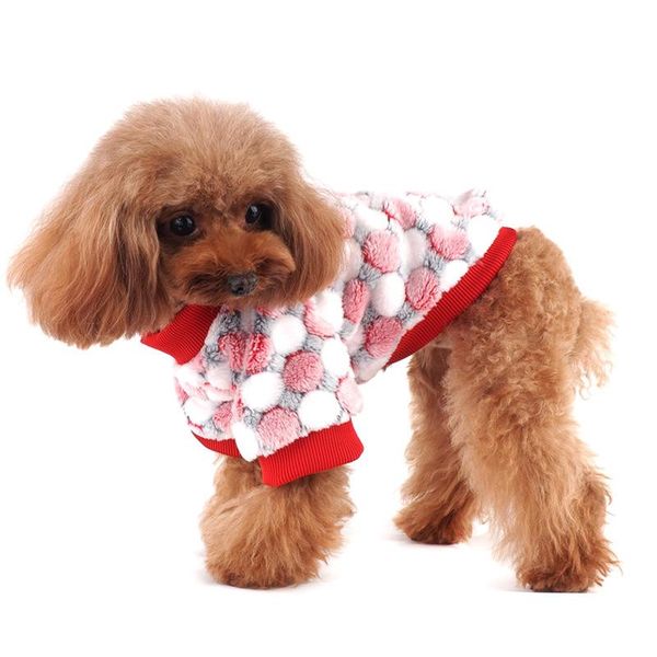 

dog apparel hoodies winter clothes cat clothing chihuahua yorkie puppy coat small pajamas shirt pomeranian schnauzer pet outfit