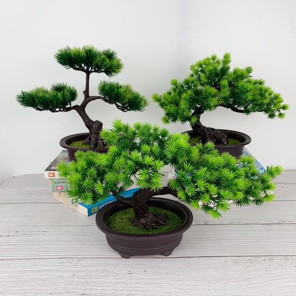 

artificial plant potted plant welcoming pine decorations and ornaments bonsai indoor pine green vegetation potted desktop
