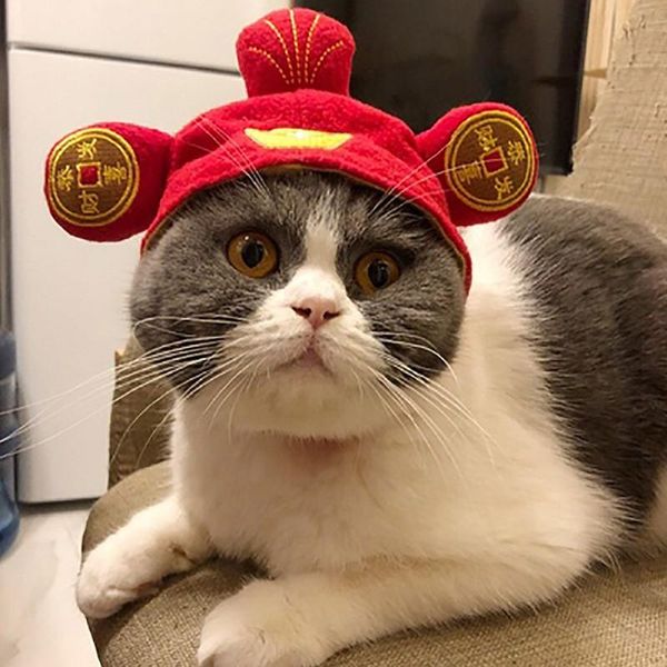 

dog apparel 4 types pet cat caps cosplay funny hair accessories costume warm cute headwear hat for dress up party decoration