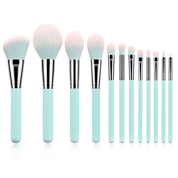 

6-color 12 piece cosmetic brush sleeve brush