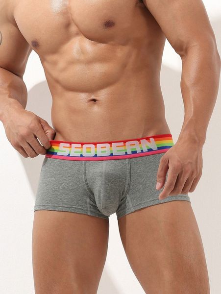 

men rainbow stripe letter graphic boxer brief 714m#, Black;brown