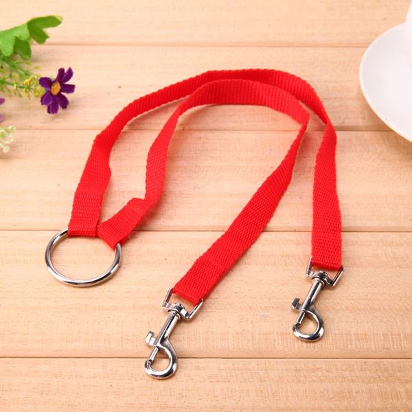 

dog collars & leashes nylon training leash dogs p chain slip collar walking leads rope for small medium breeds chihuahua teddy