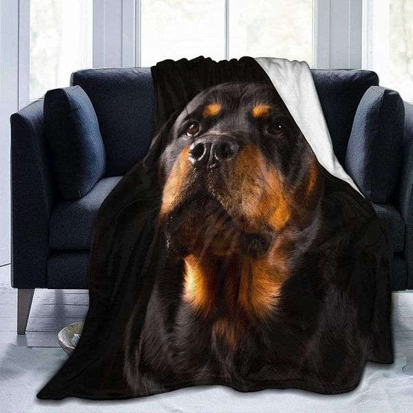 

blankets cute dog charm quiet flannel fluffy full fleece throw blanket queen king size comforter plush soft cozy quilt nursery bedding