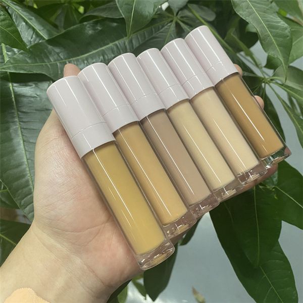 Make-up 10 Farben flüssiger Concealer Sticks Gesichts-Concealer feuchtigkeitsspendender Grundierungspuder Tube Spot neutral kein Logo Schiff frei 10 Stück