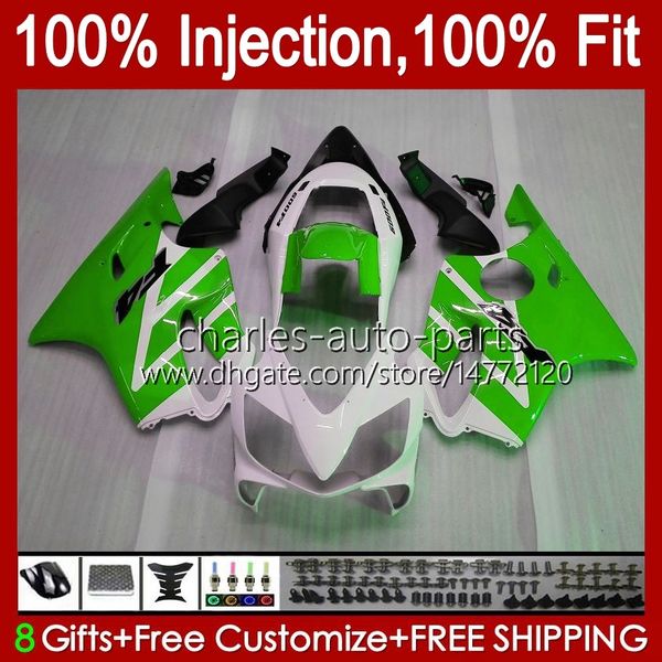 Carene OEM adatte al 100% per HONDA CBR 600F4 600FS 600 F4 FS CC 99-00 Corpo 54No.213 600CC CBR600 Bianco verde F4 CBR600F4 99 00 CBR600FS 1999 2000 Carrozzeria con stampi a iniezione