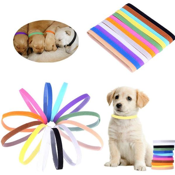 

dog collars & leashes 12pcs/lot for born adjustable puppy identification collar reusable band whelping dogs cats pet supplies