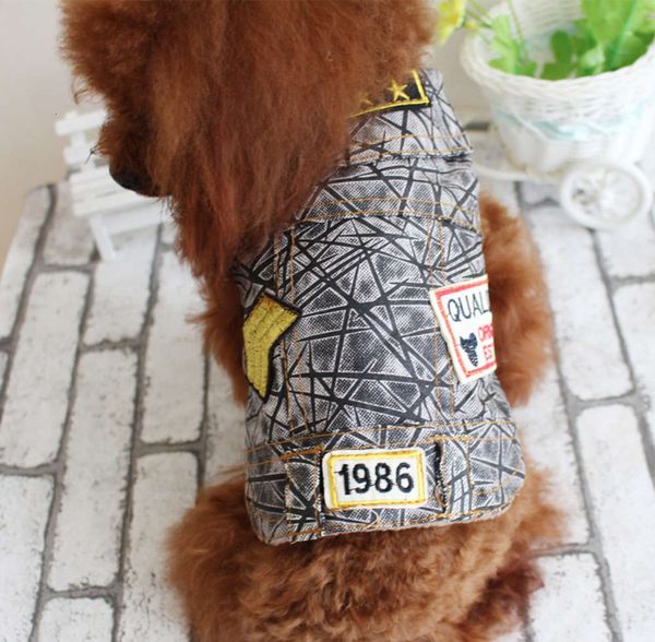

teddy pet cloth spring and autumn winter dog new label jeans vt