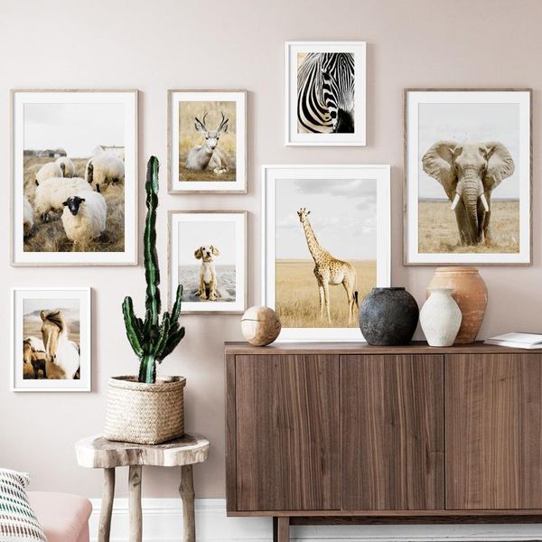 

paintings elephant deer giraffe zebra sheep horse nordic posters and prints wall art canvas painting pictures for living room decor