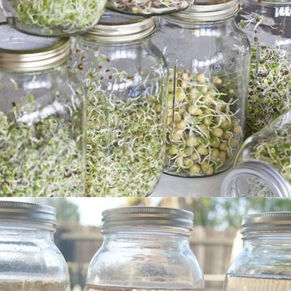 

planters & pots set of 3 stainless steel sprouting jar lid kit for superb ventilation fit wide mouth mason jars canning making
