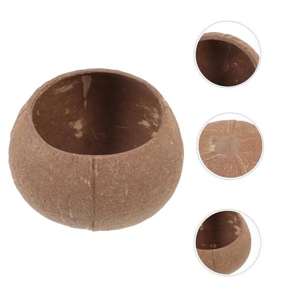 

candle holders coconut scented bowl shell