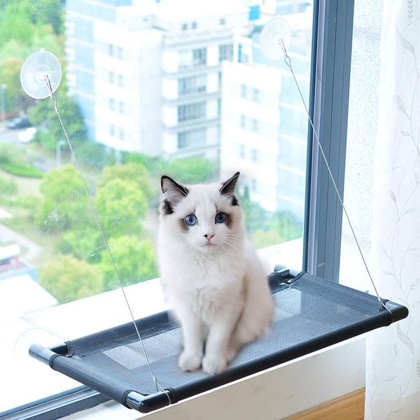 

cat window perch hammock cat bed with upgraded version 4 suction cups, safest bed for large can holds up to 50lbs