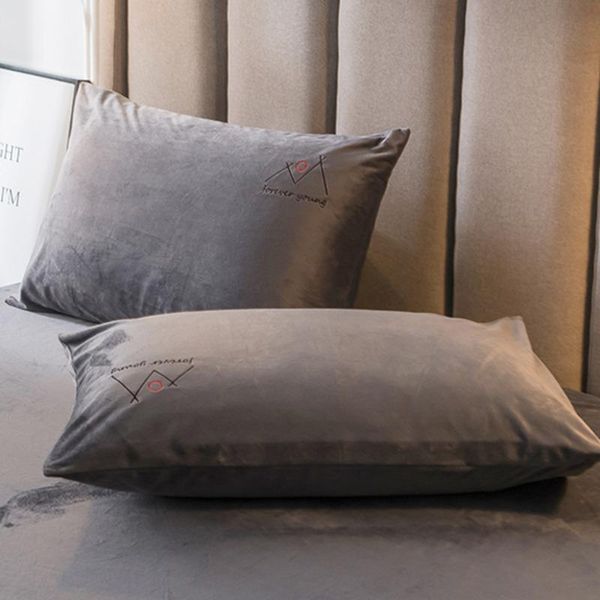 

pillow case autumn winter pillowcase super soft warm sleep cover elegant embroidery velvet cases bedroom home decor 48x74cm