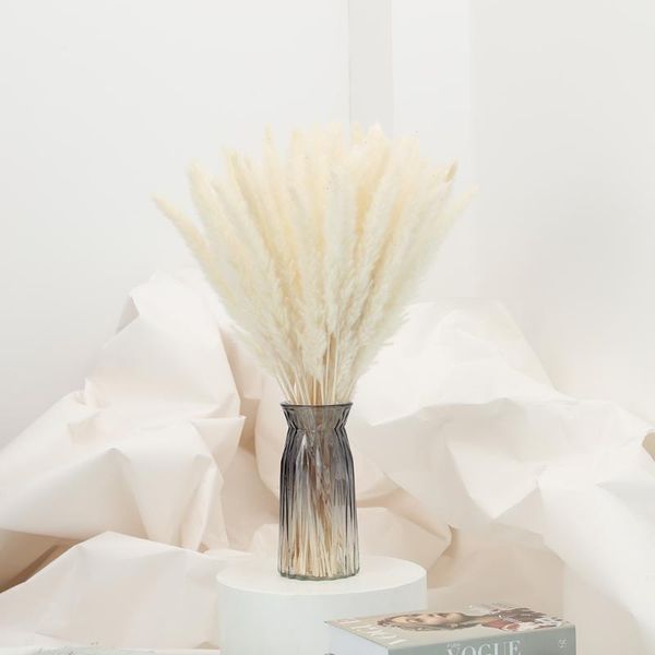 

30pcs pampas grass white decorative dried plants dried natural flowers bulrush wedding flower bunchnatural phragmites communis