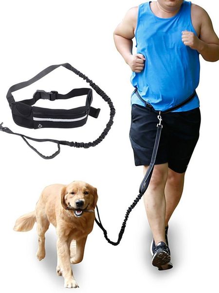 

dog collars & leashes 2021 reflective leash traction rope pet running belt elastic hands y jogging pull metal d-ring