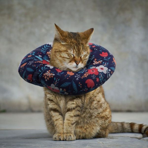 

cat collars & leads fashion floral pet collar recovery flower for kitten