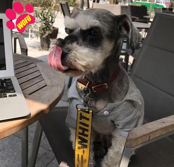 

3.5cm guinzaglio per imbracatura per cani con lettere di moda set di guinzagli collare cani bianco set guinzagli