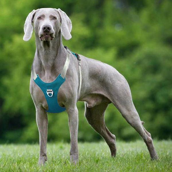 

dog collars & leashes harness no-pull pet soft heavy duty for small medium big dogs reflective easy control walking