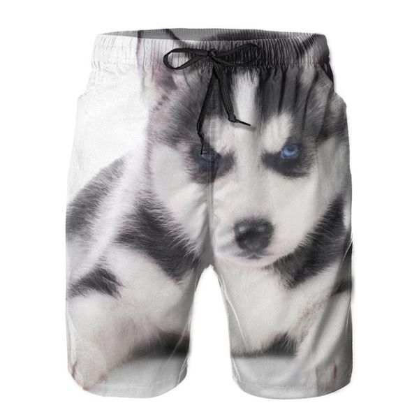 

men's shorts beach short swim cute little husky puppy surfing maillot de bain sport board swimwear, White;black