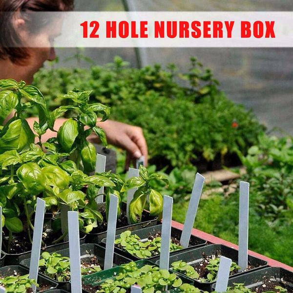 

planters & pots 5pcs 24 hole plastic seeding sprout plate garden planting tray box set with lids starter
