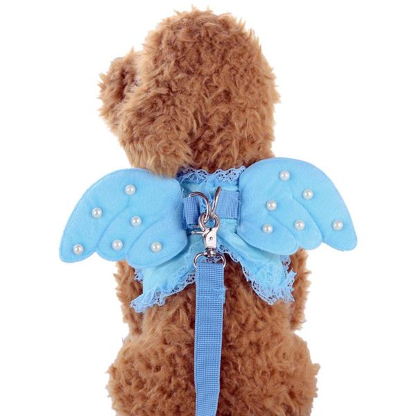 

dog collars & leashes arrival cute angel pet chest strap set for small designer wing supplies accessories@30