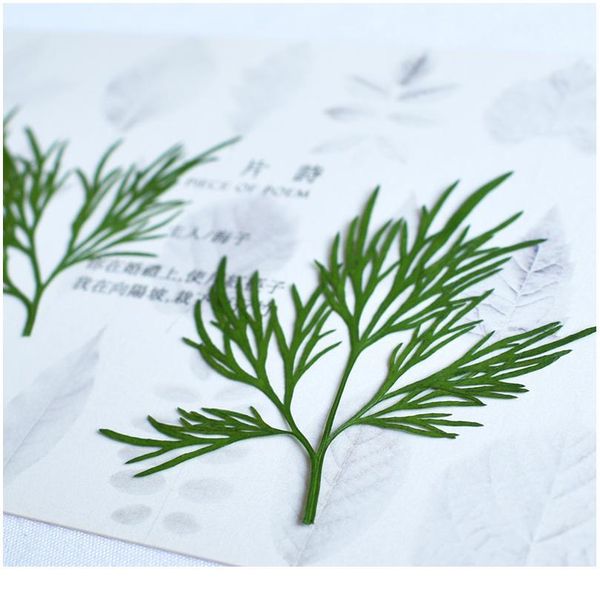 

manufacturing technology of epoxy resin ornaments for dried plant specimens of broad leaved natural true dry leaves diy jllopz
