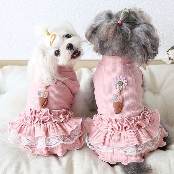 

ysgj autumn and winter 2020 new flowerpot skirt cat maid skirt dog cloth pet