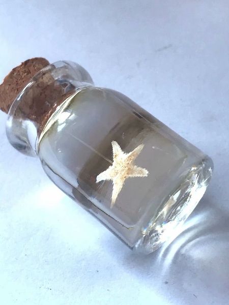 

12 pcs drifting bottle star fish vogue jewelry, Black