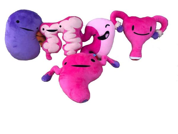 

doll i know my human organ preschool education large intestine heart uterus