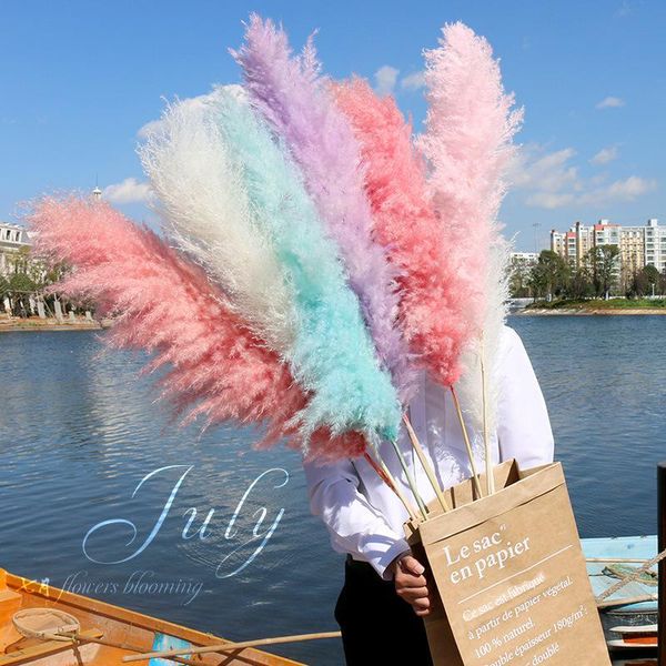 

decorative flowers & wreaths natural big reed dried flowerpampas grass large bouquet wedding flower ceremony decoration modern home fast