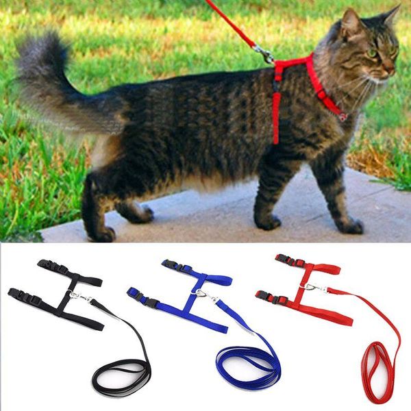 

cat collars & leads nylon pet harness and leash products for vest adjustable comfort soft pets belt accessories
