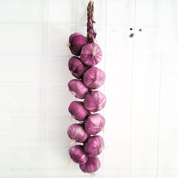 

artificial fruit string fake vegetables foam hang home garden floral decor use