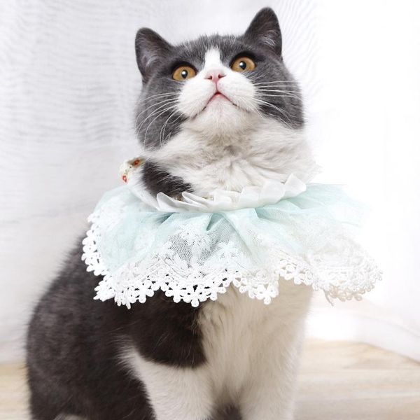 

cat collars & leads lace detachable collar pearl pink pet scarf products for cats name necklace decor things cute fake accessories