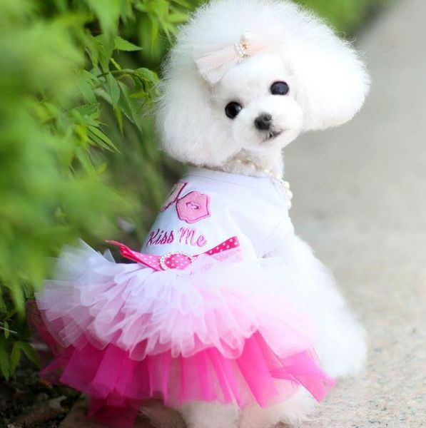

pet dog clothes spring and summer pink pet skirt