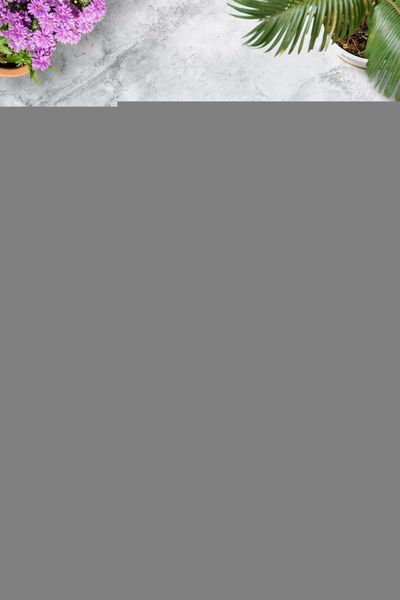 

carpets classical door mat bedroom kitchen bath floor mats home entrance multipurpose doormat non-slip 45*70cm