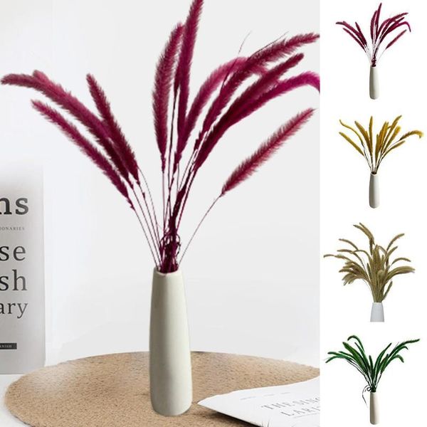 

decorative flowers & wreaths 50pcs/lot dried small pampas grass primary color dog tail natural plant idyllic style diy home wedding decor