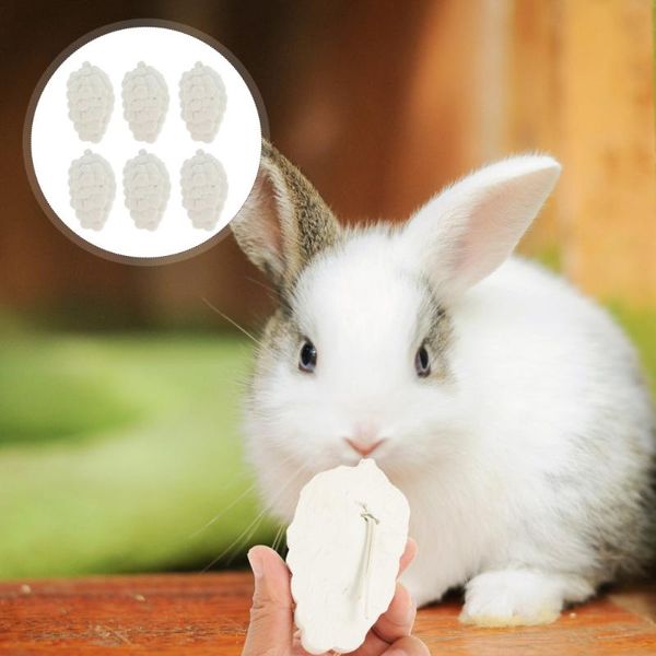 

small animal supplies 10pcs hamster tooth grinding calcium stone teething chewing